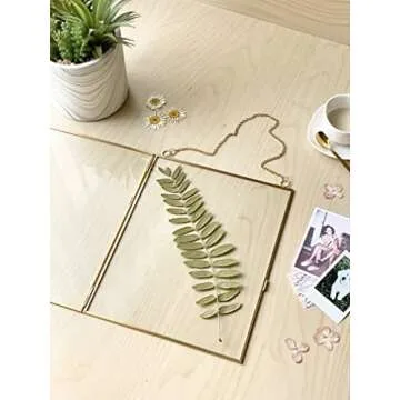 Beedecor Double Glass Frame for Pressed Flowers, Leaf and Artwork - Set of 2 Hanging Picture Frames, Tempered Glass Floating Pressed Flower Frames, Large Rectangular Wall Decor Photo Display, Clear Metal Glass Frames with Chain (8x10, Gold)