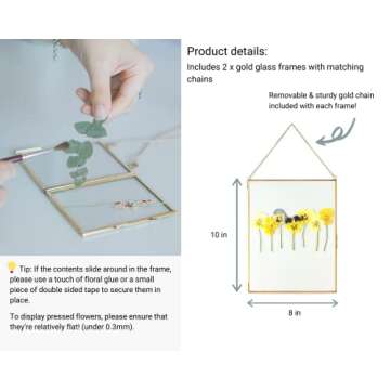 Beedecor Double Glass Frame for Pressed Flowers, Leaf and Artwork - Set of 2 Hanging Picture Frames, Tempered Glass Floating Pressed Flower Frames, Large Rectangular Wall Decor Photo Display, Clear Metal Glass Frames with Chain (8x10, Gold)