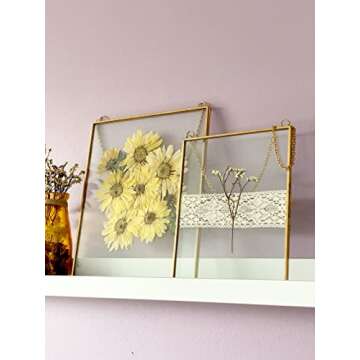 Beedecor Double Glass Frame for Pressed Flowers, Leaf and Artwork - Set of 2 Hanging Picture Frames, Tempered Glass Floating Pressed Flower Frames, Large Rectangular Wall Decor Photo Display, Clear Metal Glass Frames with Chain (8x10, Gold)