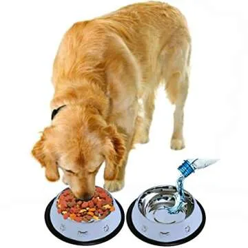 Set of 2 Etched Food Grade Stainless Steel Dog Bowls - 32oz Dry Weight - Dishwasher Safe - Rust Resistant - Non-Skid No-Tip Natural Rubber Base - Odor Free Alternative to Plastic