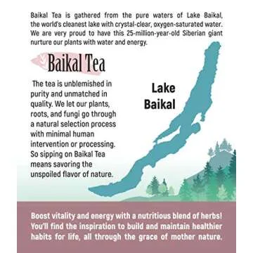 Chaga Tea - 100% Wild Siberian Birch Chaga Mushroom - Organic - 30 Unbleached Tea Bags - Pure No Additives - Natural Detox and Digestive Support - Hand-Picked by Baikal Tea