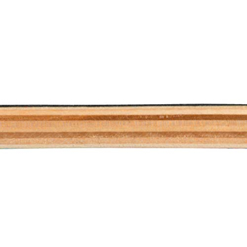 Beginner Skateboard for Kids and Adults with Unique Design