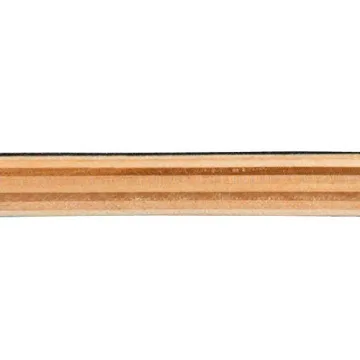 Beginner Skateboard for Kids and Adults with Unique Design