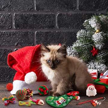 beetoy Christmas Cat Toys Stocking, 11 PCS Kitten's First Christmas Cat Stocking Gifts Set Assorted Toys with Funny Cat Pole Outdoor & Indoor Kitten Interactive Play Game