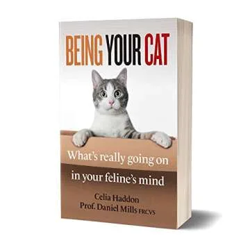 Being Your Cat: Understand Your Feline's Thoughts