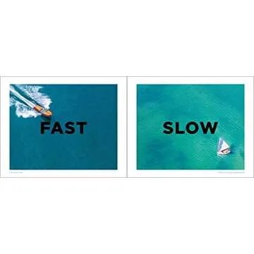 A World of Opposites: A Picture Book