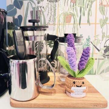 Handmade Crochet Mini Funny Potted-Positive Emotional Support Plant,Crochet Desk Decor,Crochet Flower Decor,Gift for Friends,Mother's Day Gift,Encouragement Gifts (Lavender)