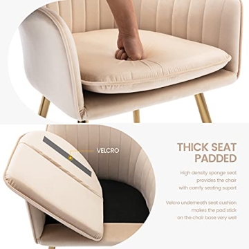 Gold Thumb Velvet Dining Chair Set of 2 with Legs