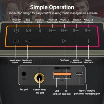 Karaoke Machine with Wireless Mics & Powerful Speaker