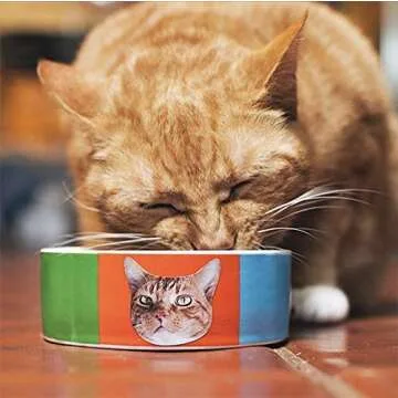 Custom Face Stickers, Custom Stickers, Stickers of Your Pet, Elite Sampler Sheet - 5 Sheets - Custom Gift