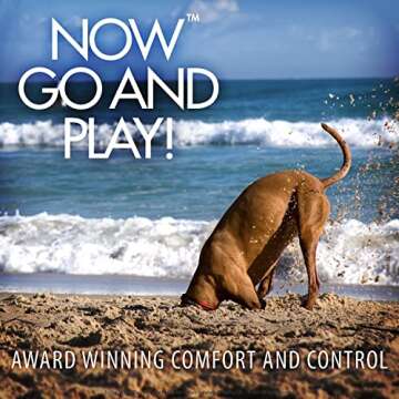 EzyDog Vario 6 Multi-Function Dog Leash with Snap Hook and Reflective Stitching - Perfect for Running, Walking, and Traffic Control - Hands-Free, Double Dog, and Tethering Capabilities (Standard, Black)