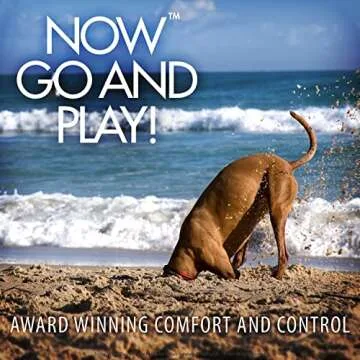 EzyDog Vario 6 Multi-Function Dog Leash with Snap Hook and Reflective Stitching - Perfect for Running, Walking, and Traffic Control - Hands-Free, Double Dog, and Tethering Capabilities (Standard, Black)