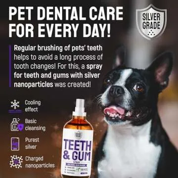 SILVER GRADE Teeth & Gum Spray for Pets – Dental Formula for Dog Mouth Rinse & Cat Mouth Care – Dog Fresh Breath, Clean Teeth, No Pain Or Burning – Plaque and Tartar Remover (4 Oz)