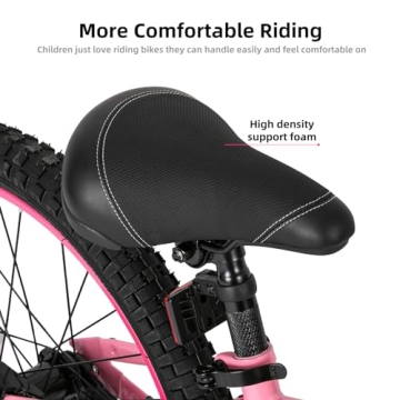 JOYSTAR 20 Inch Girls Bike Training Wheels Ages 6-12