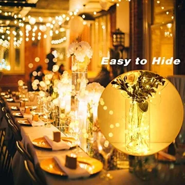 Edvision Fairy Lights 12 Pack - 7FT Battery Operated String Lights