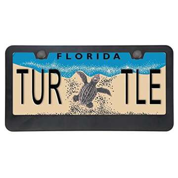 Big Ant's Matte License Plate Frame with Free Screws Set