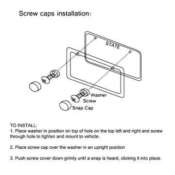 Big Ant's Matte License Plate Frame with Free Screws Set