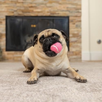 Hyper Pet MINI Tennis Balls for Small Dogs Fun & Safe