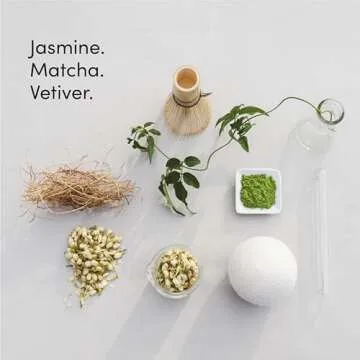 Dirty Labs | Murasaki Scent | Bio Enzyme Liquid Laundry Detergent | 32 Loads (8.6 fl oz) | Hyper-Con...