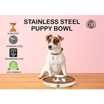 Stainless Steel Puppy Feeder Bowls for Convenient Feeding