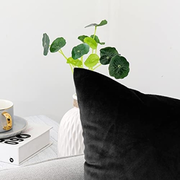 Luxurious Soft Black Velvet Pillow Covers Set of 2