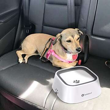 LumoLeaf Large Dog Water Bowl - No Spill & Drip-Free Design