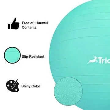 Trideer Yoga Ball Exercise Ball