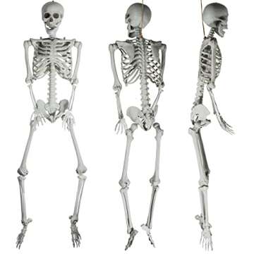 AOFOX 5.4ft Halloween Human Skeletons Full Body Bones with Movable Joints for Halloween Props Spooky Party Decoration, 2Packs
