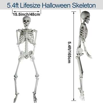 AOFOX 5.4ft Halloween Human Skeletons Full Body Bones with Movable Joints for Halloween Props Spooky Party Decoration, 2Packs