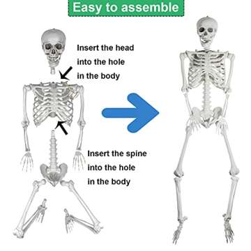AOFOX 5.4ft Halloween Human Skeletons Full Body Bones with Movable Joints for Halloween Props Spooky Party Decoration, 2Packs