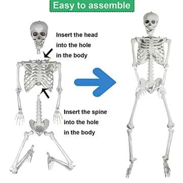 AOFOX 5.4ft Halloween Human Skeletons Full Body Decoration