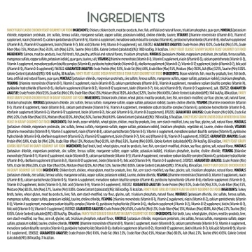 Fancy Feast Feastivities Advent Calendar for Cats 24 Count