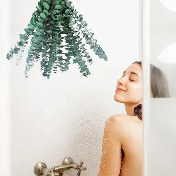 Dried Eucalyptus Bundle for Home Decor and Arrangements