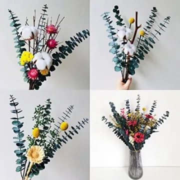 Dried Eucalyptus Bundle for Home Decor and Arrangements