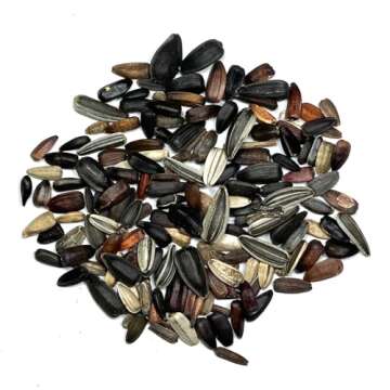 Seed Needs Sunflower Seeds - 15+ Varieties for Stunning Blooms