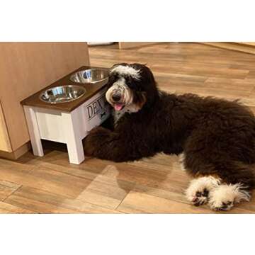 GrooveThis Woodshop - Personalized Elevated Dog Bowl Stand for Large, Medium, Small, X-Small Dogs - Stainless Steel Food and Water Bowls - Raised Dog Dish with Internal Storage (Large, Dark Walnut)