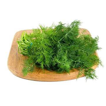 Culinary Herb Seeds Collection, 4 Heirloom Non GMO Varieties, Basil, Cilantro, Dill, Parsley.