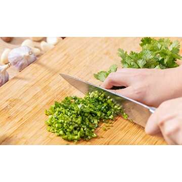 Culinary Herb Seeds Collection, 4 Heirloom Non GMO Varieties, Basil, Cilantro, Dill, Parsley.