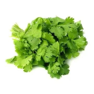 Culinary Herb Seeds Collection, 4 Heirloom Non GMO Varieties, Basil, Cilantro, Dill, Parsley.