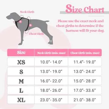 Rabbitgoo Dog Harness No Pull with 2 Leash Clips and Reflective Strap for Small Dogs in Pink