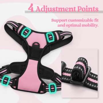 Rabbitgoo Dog Harness for Small Dogs – Safe and Adjustable