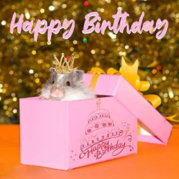 Keymall Mini Crown Set for Small Pets Adjustable Accessories