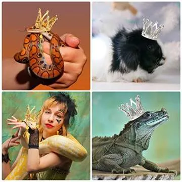 Keymall Mini Crown Set for Small Pets Adjustable Accessories