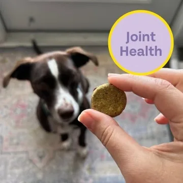 Chippin Antioxidant Dog Biscuit - Natural, Healthy Treats