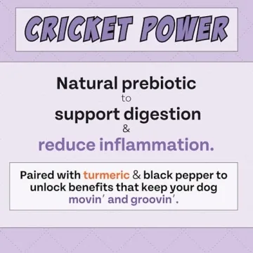 Chippin Antioxidant Dog Biscuit - Natural, Healthy Treats