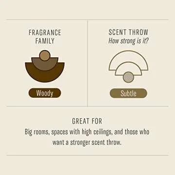 PF Candle CO Teakwood & Tobacco Large Candle, 12.5 OZ