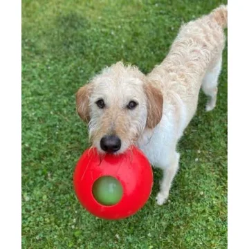 Jolly Pets Teaser Ball Dog Toy for Small Dogs - Red