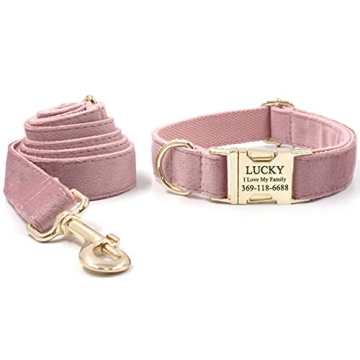 Personalized PETDURO Dog Collar with Engraved Gold Buckle