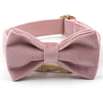 Personalized PETDURO Dog Collar with Engraved Gold Buckle