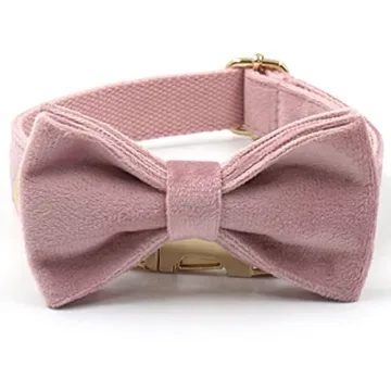 Personalized PETDURO Dog Collar with Engraved Gold Buckle